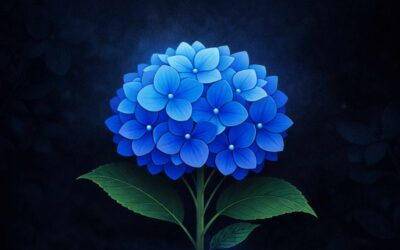 Pro/Contra – Hortensienblau
